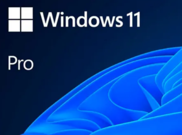 Windows 11 Pro Microsoft 64 bit - Licença ESD